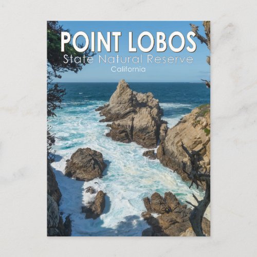 Point Lobos State Natural Reserve California Postcard
