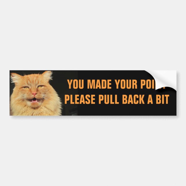Point Made. Pull Back Talking Cat Meme Bumper Sticker (Front)