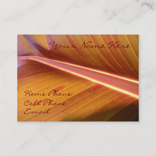 Point of Light Profile Card