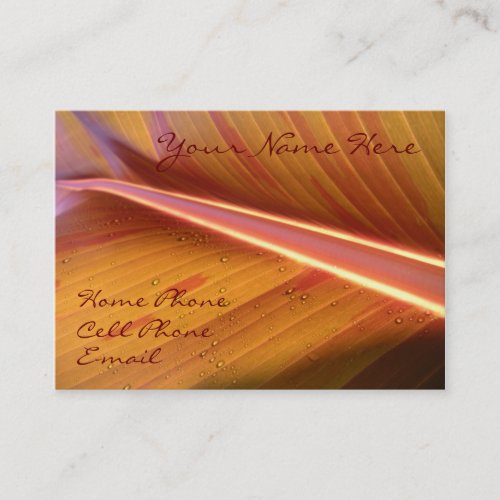 Point of Light Profile Card Business Cards