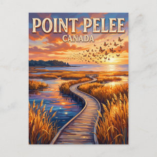 Point Pelee National Park Canada Postcard