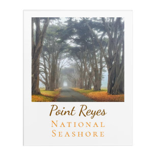 Point Reyes  Acrylic Print
