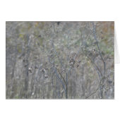 Point Reyes, Ca (Front Horizontal)