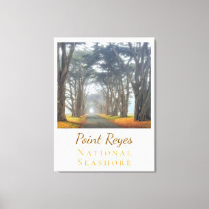 Point Reyes Canvas Print