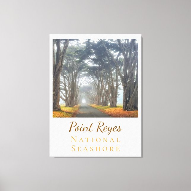 Point Reyes  Canvas Print (Front)