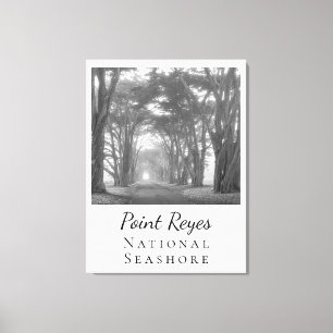 Point Reyes  Canvas Print
