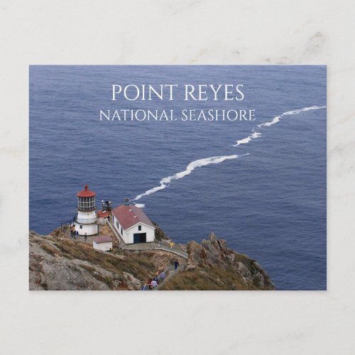 Point Reyes Light Point Reyes National Seashore Postcard