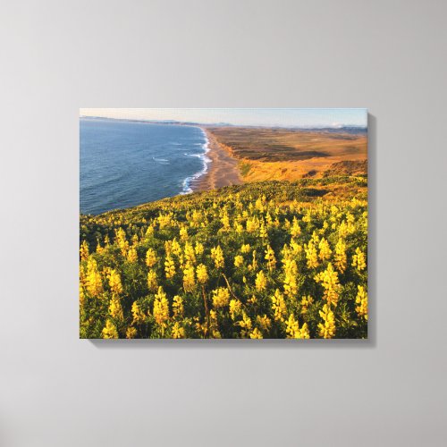 Point Reyes National Seashore California Canvas Print