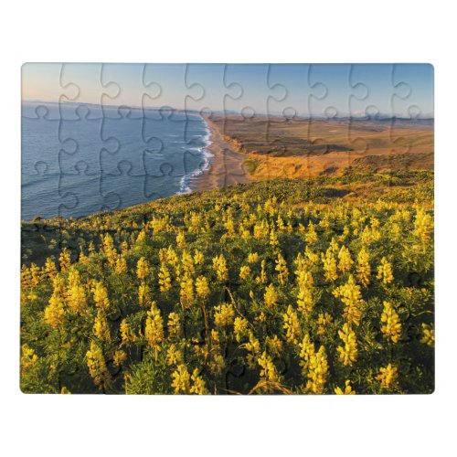 Point Reyes National Seashore California Jigsaw Puzzle