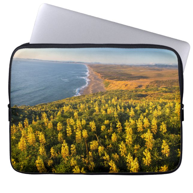 Point Reyes National Seashore California Laptop Sleeve (Front)