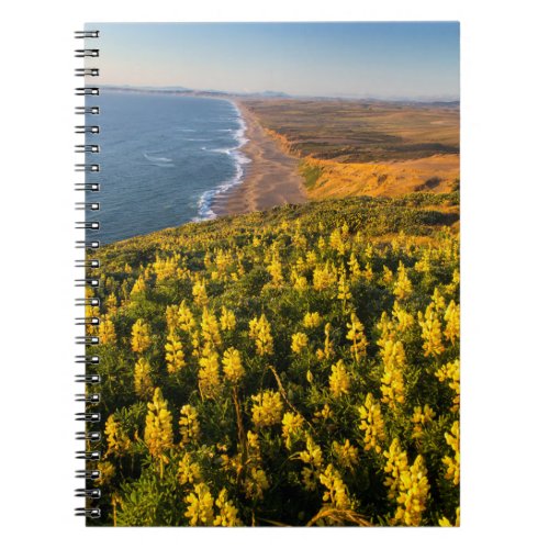 Point Reyes National Seashore California Notebook
