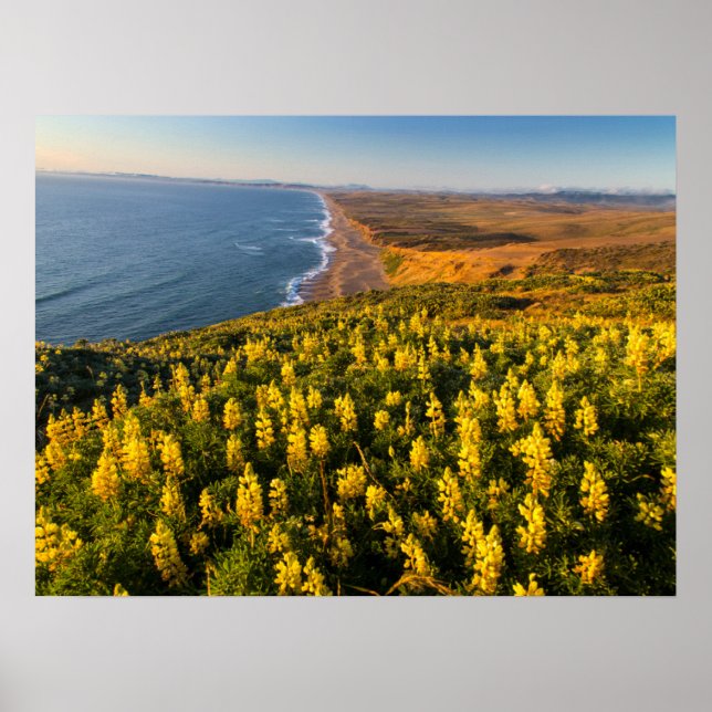 Point Reyes National Seashore California Poster (Front)