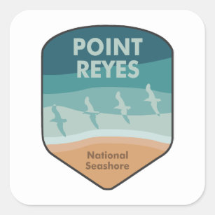 Point Reyes National Seashore California Seagulls Square Sticker