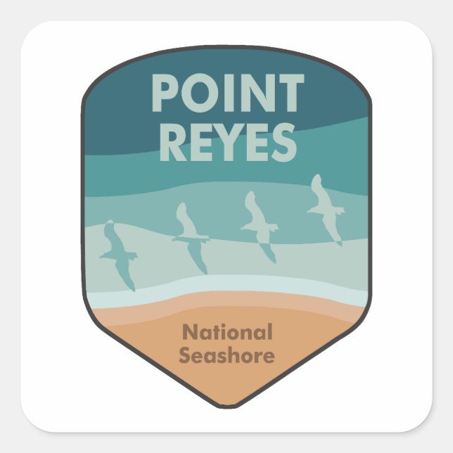 Point Reyes National Seashore California Seagulls Square Sticker (Front)