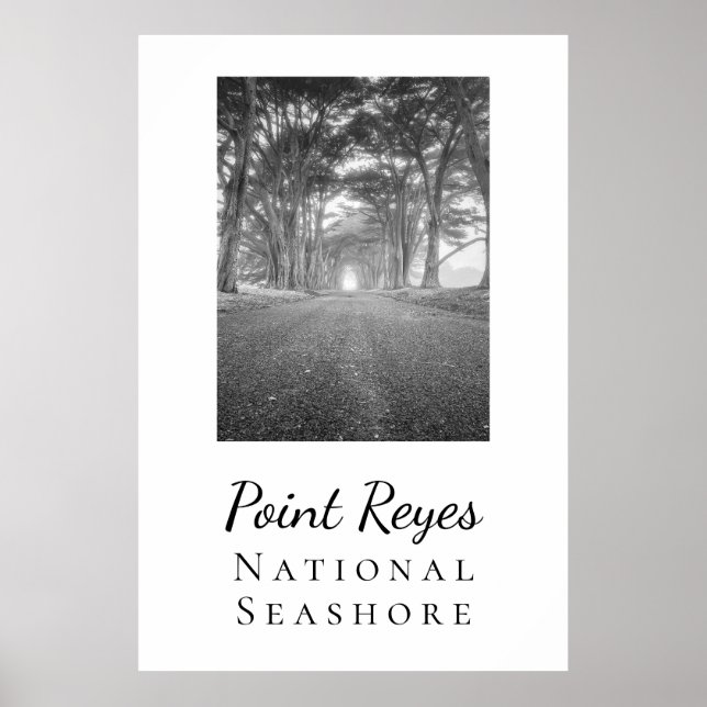 Point Reyes  Poster (Front)