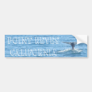 Point Reyes Whale Tail Bumper Sticker