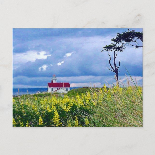 Point Wilson Lighthouse, Port Townsend, Washington Postcard (Front)