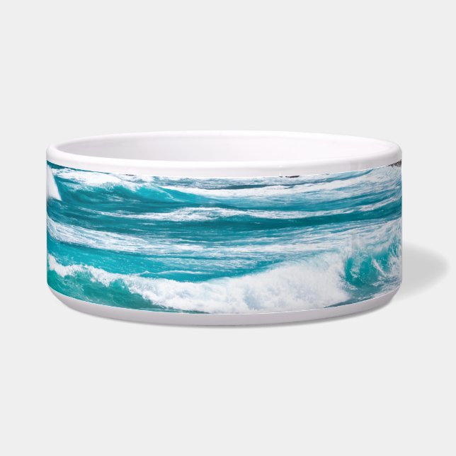 Pointe des Chateaux, Grande-Terre, Guadeloupe Bowl (Right)