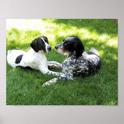 Pointer and Setter Love Poster