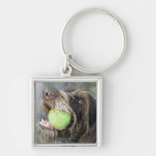 Pointer dog biting tennis ball, close-up keychain