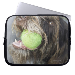 Pointer dog biting tennis ball, close-up laptop sleeve
