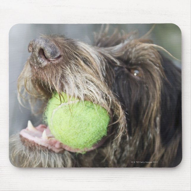 Pointer dog biting tennis ball, close-up mouse pad (Front)