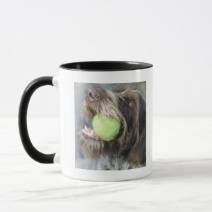 Pointer dog biting tennis ball, close-up mug