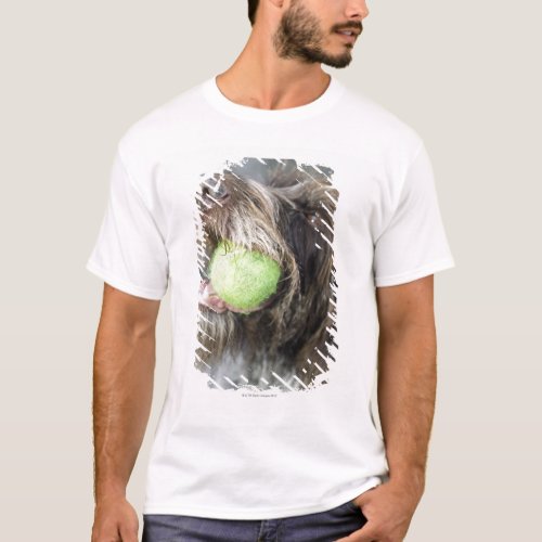 Pointer dog biting tennis ball close_up T_Shirt