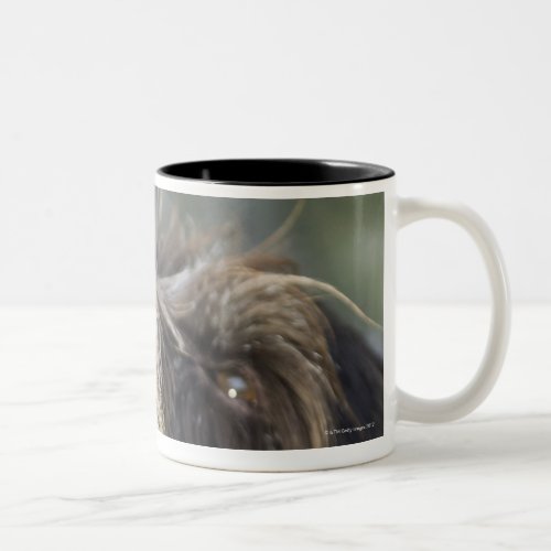 Pointer dog biting tennis ball close_up Two_Tone coffee mug