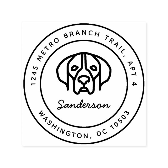 what kind of dog is in return to me