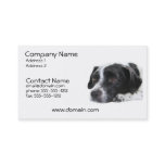 Pointer Dog Business Card