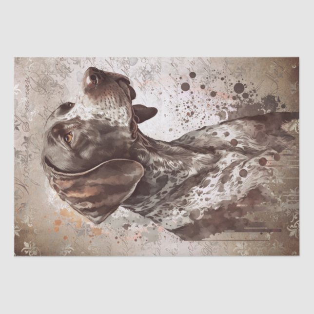 Pointer German Shorthaired Dog Watercolor Tissue Paper (Front)