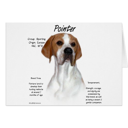 Pointer History Design Cards (Front Horizontal)
