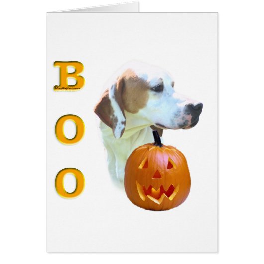 Pointer (Lemon Coated) Boo Cards (Front)