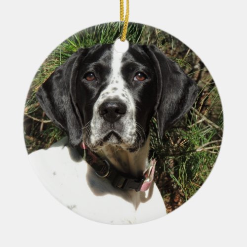 Pointer Love Ceramic Ornament