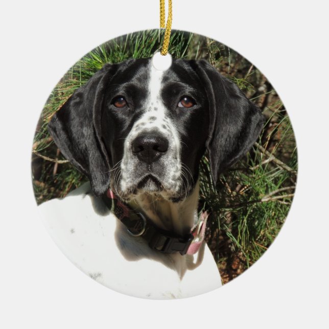 Pointer Love Ceramic Ornament (Front)