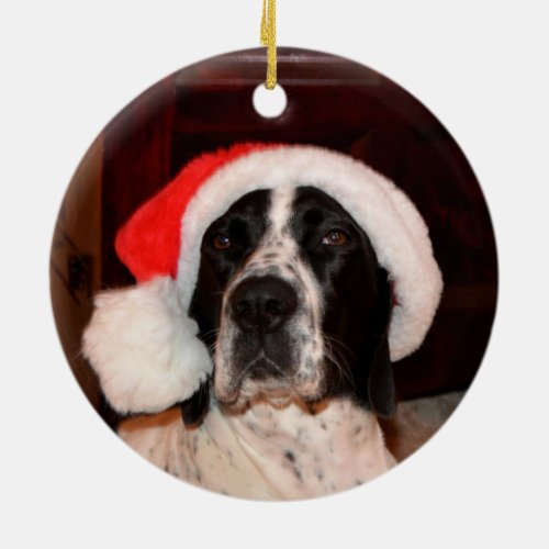 Pointer Love Ceramic Ornament