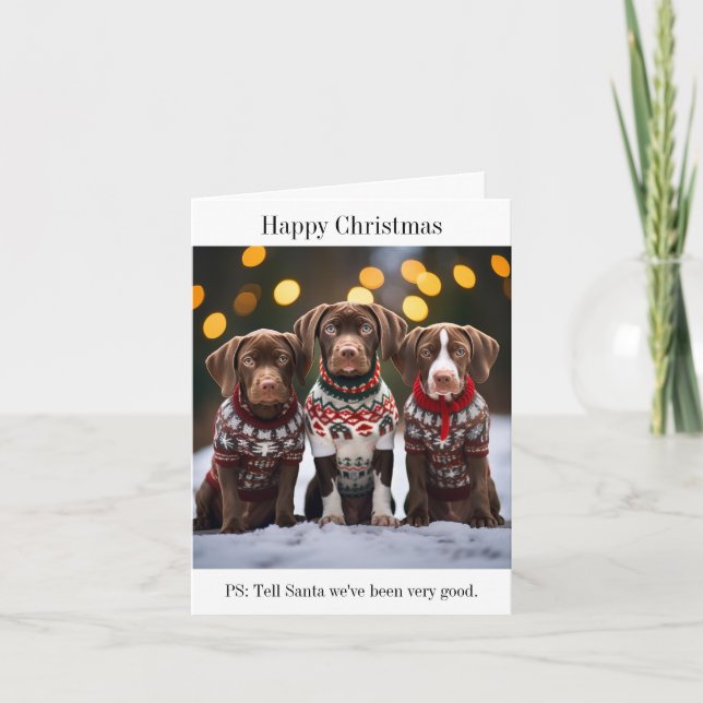 Pointer Puppies Christmas Card (Front)
