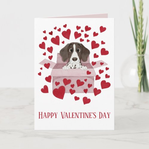 Pointer Puppy in Box Valentines  Card