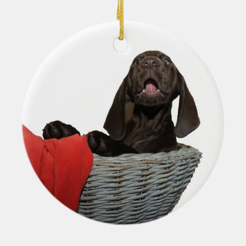 Pointer Sister in a basket Ceramic Ornament