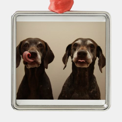 Pointer Sisters ornament