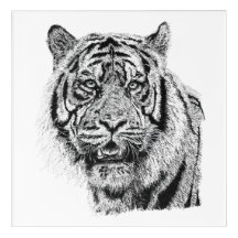 Pointillism Tiger Head Black & White Wildlife Art