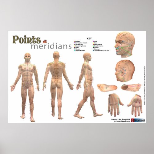 Points and meridians of the body _ Annotated Poster