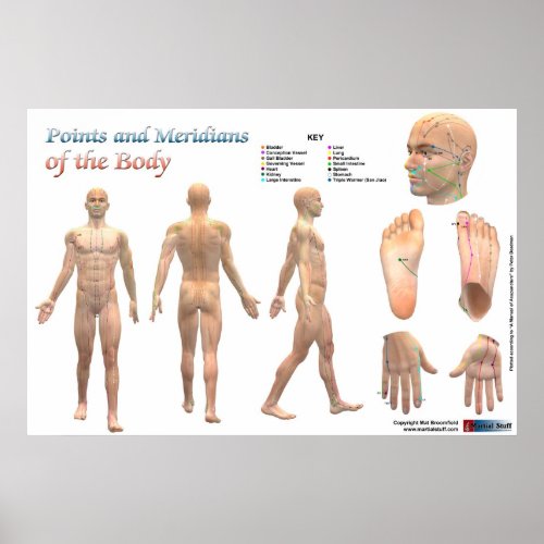 Points and meridians of the body poster