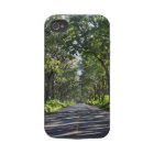 Po'ipu Tree Tunnel