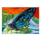 Poised Butterfly II (Front Horizontal)