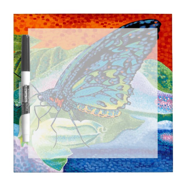 Poised Butterfly II Dry-Erase Board (Front)