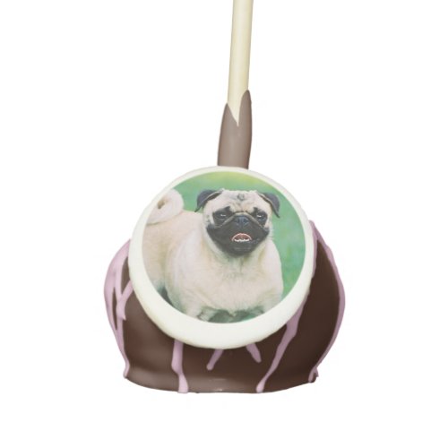 Poised Pug Cake Pops