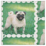 Poised Pug Fabric