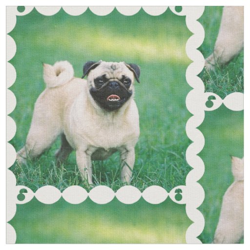 Poised Pug Fabric